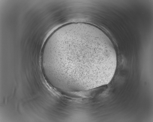 X0000076081340200610202030