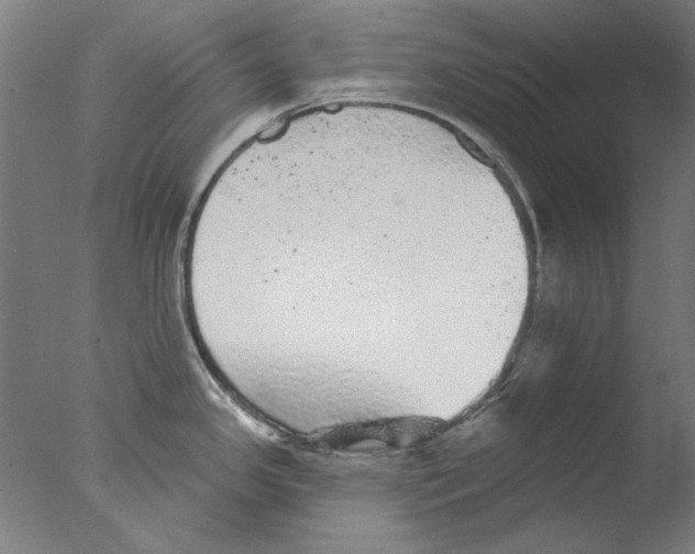 X0000076081341200610202030