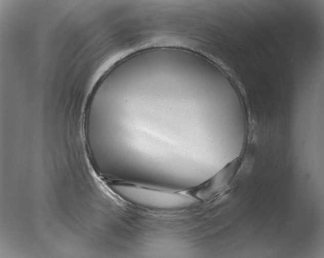 X0000076081342200610202030