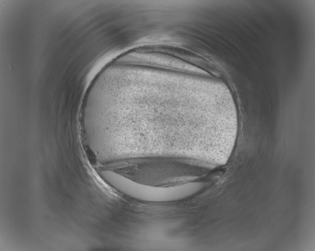 X0000076081344200610202030