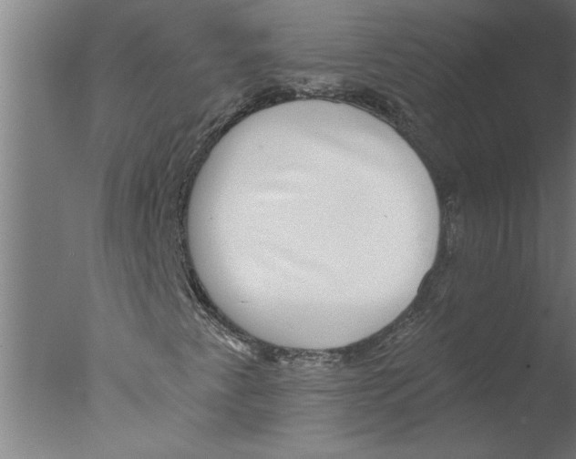 X0000076081345200610202029