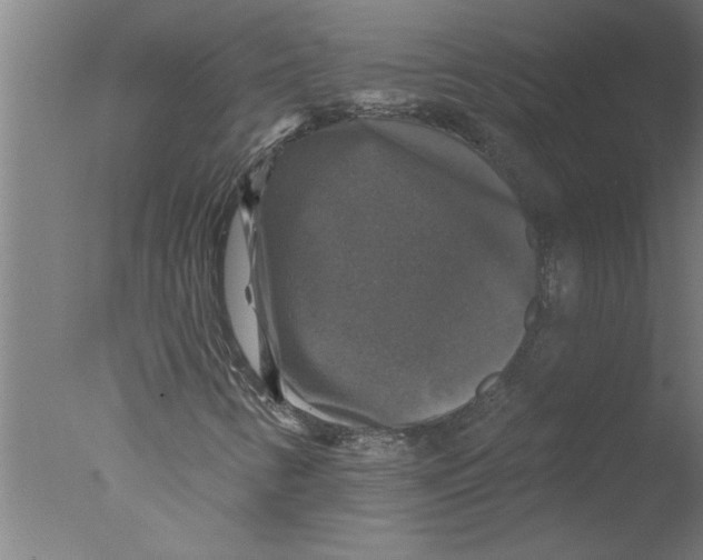 X0000076081346200610202029