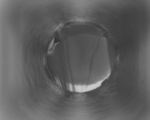 X0000076081348200610202029