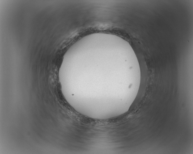 X0000076081349200610202029