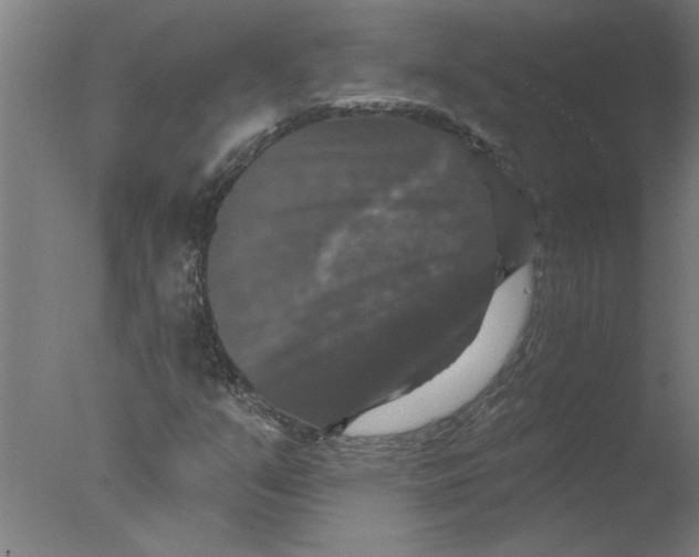 X0000076081351200610202029