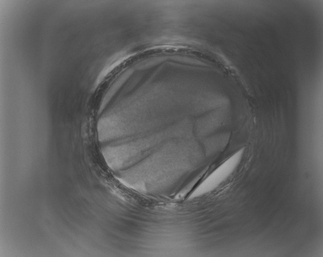 X0000076081352200610202029