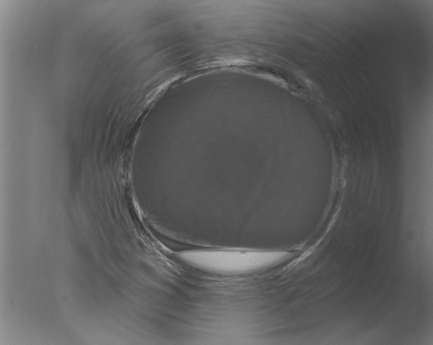 X0000076081353200610202029