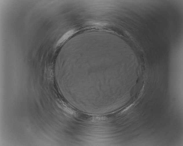 X0000076081354200610202029