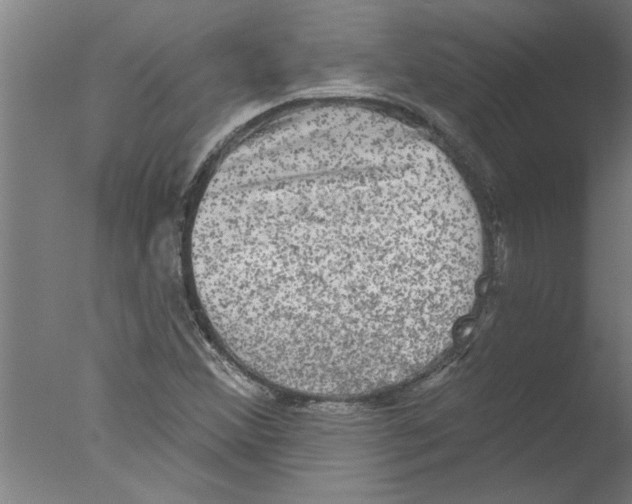 X0000076081356200610202029