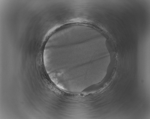 X0000076081358200610202029