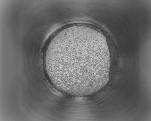 X0000076081360200610202029