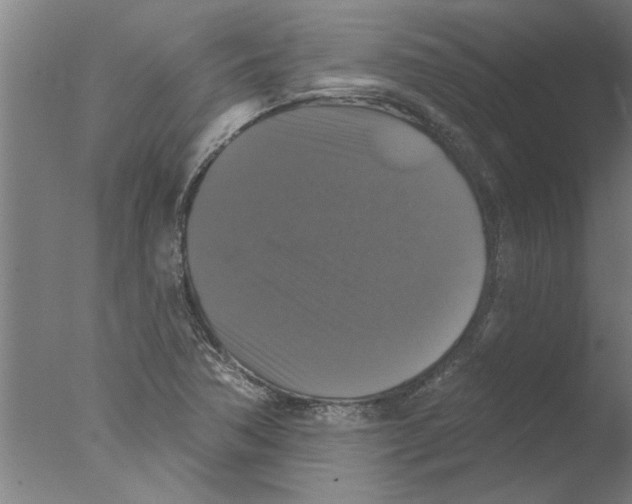 X0000076081362200610202029