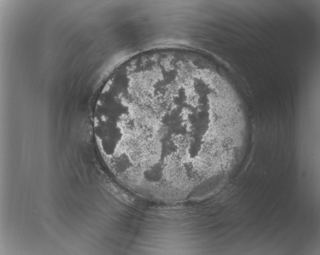 X0000076081363200610202029