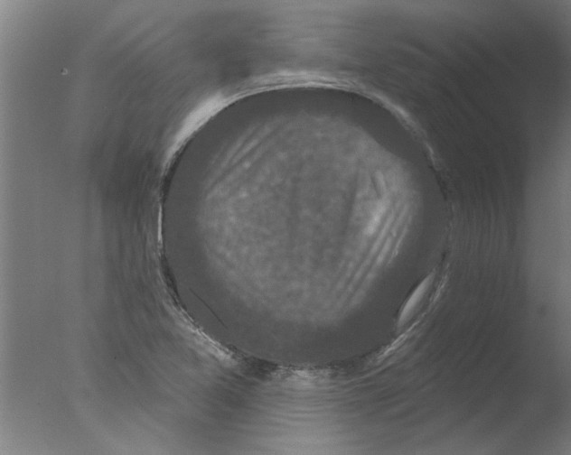 X0000076081365200610202029