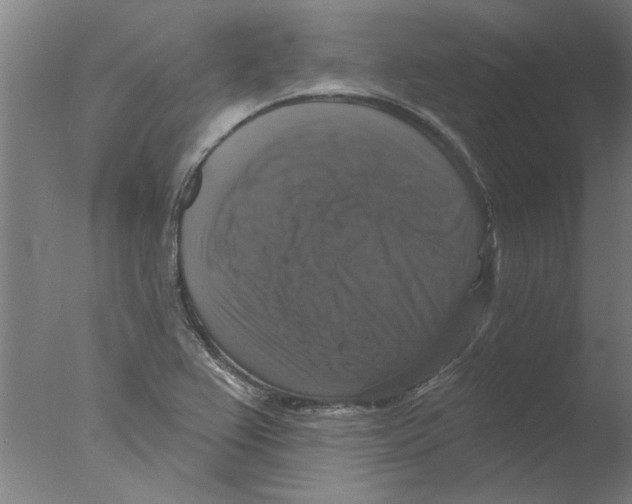 X0000076081367200610202029