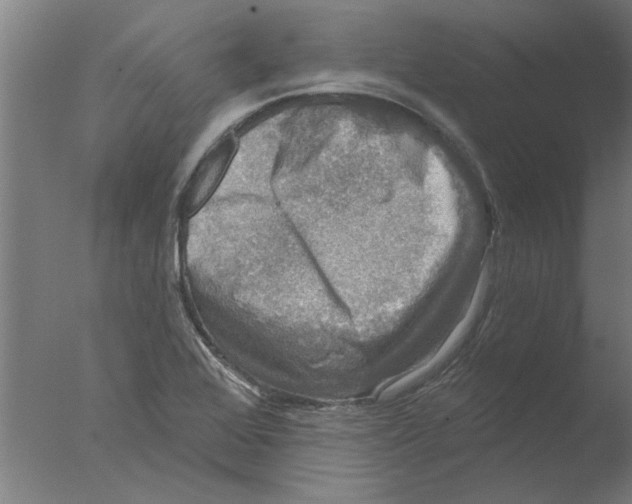 X0000076081368200610202029