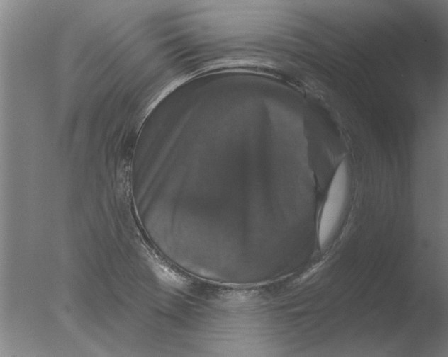 X0000076081369200610202029