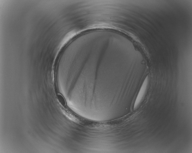 X0000076081372200610202029