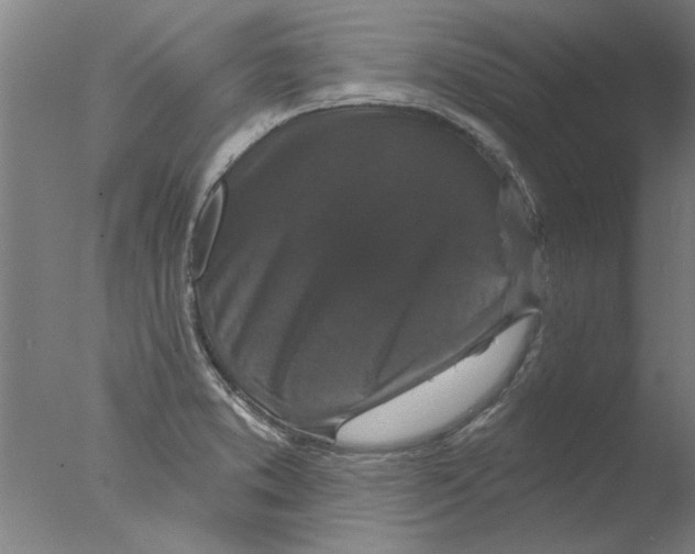 X0000076081373200610202029