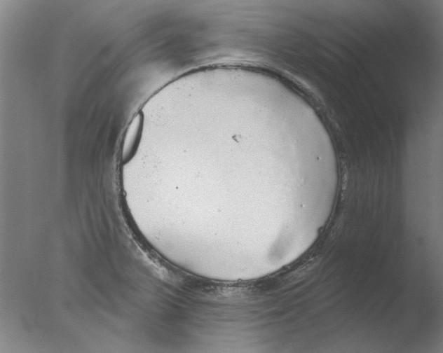 X0000076081375200610202029