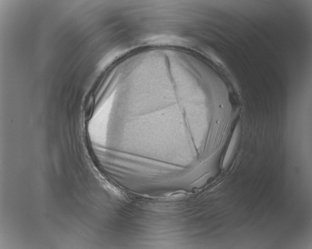 X0000076081376200610202029