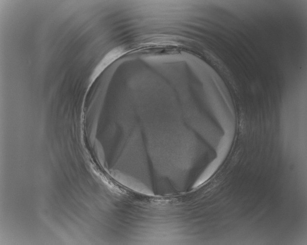 X0000076081378200610202029