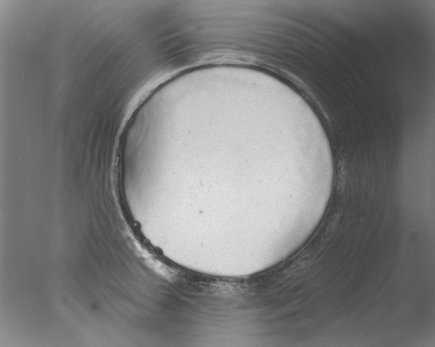 X0000076081379200610202029