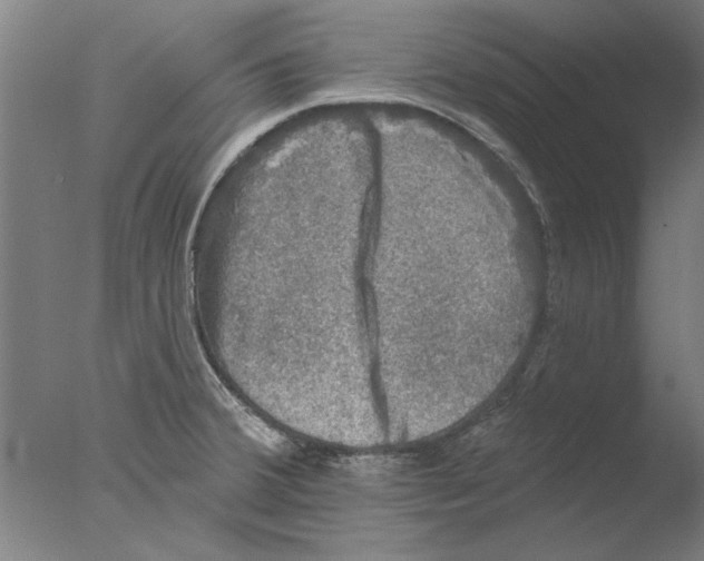 X0000076081380200610202029