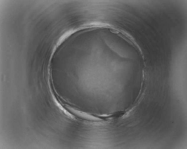 X0000076081381200610202029