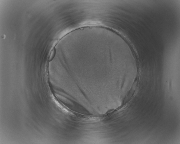 X0000076081382200610202029