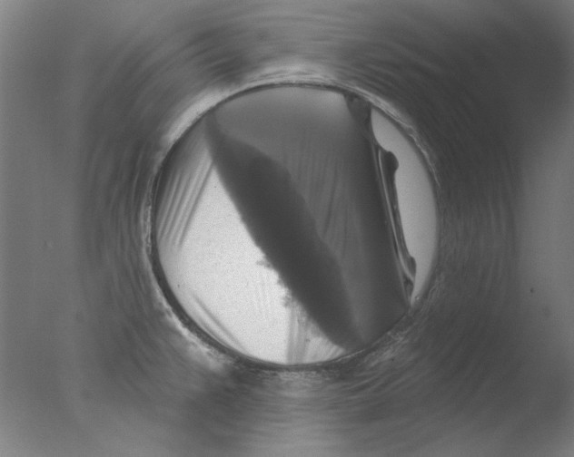 X0000076081383200610202029