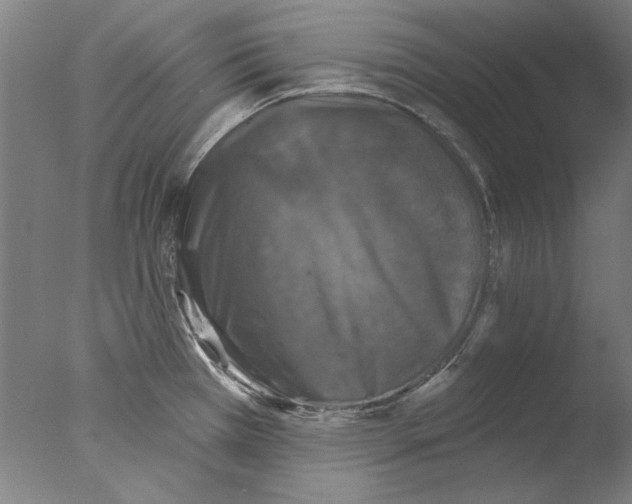 X0000076081385200610202029