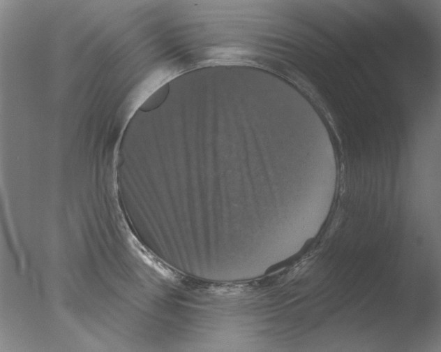 X0000076081386200610202029