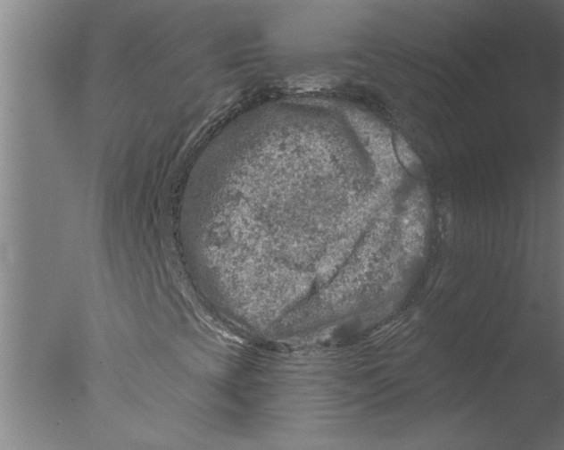 X0000076081393200610202028