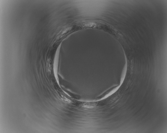 X0000076081394200610202028