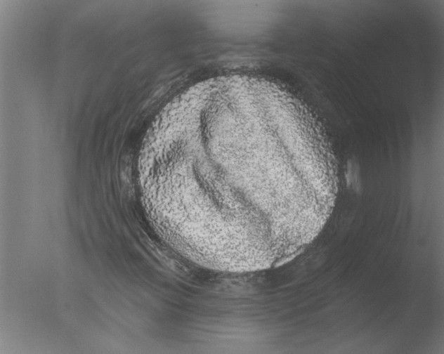 X0000076081396200610202028