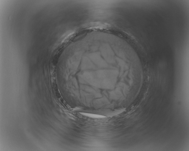 X0000076081399200610202028