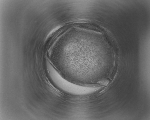 X0000076081402200610202028