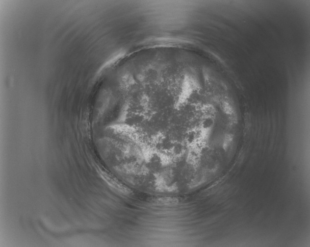 X0000076081403200610202028