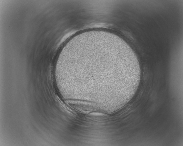 X0000076081404200610202028