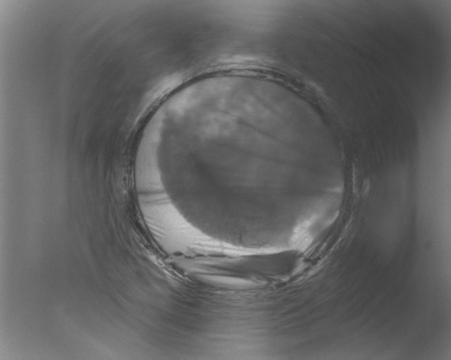 X0000076081405200610202028