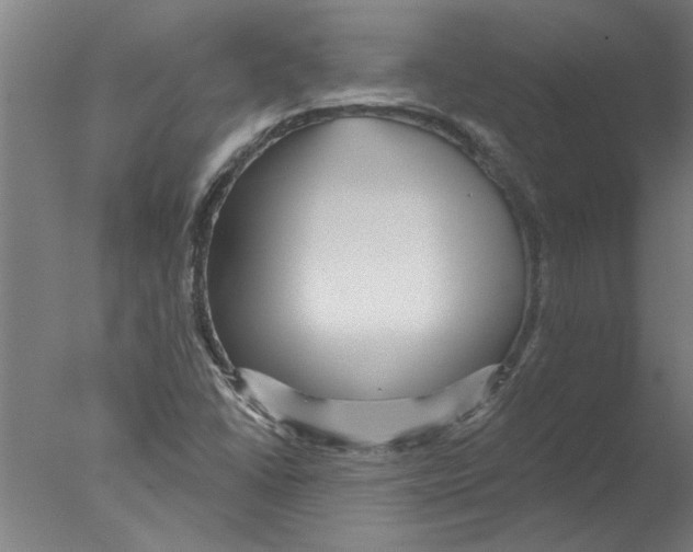 X0000076081406200610202028