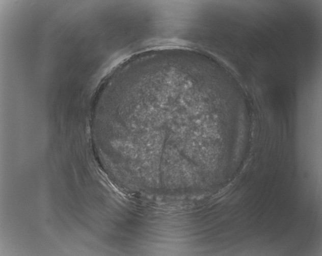 X0000076081407200610202028