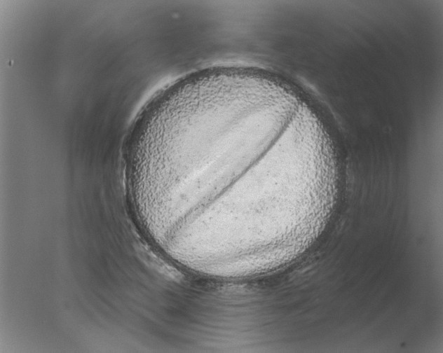 X0000076081408200610202028