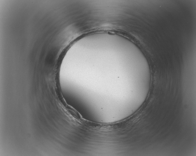 X0000076081410200610202028