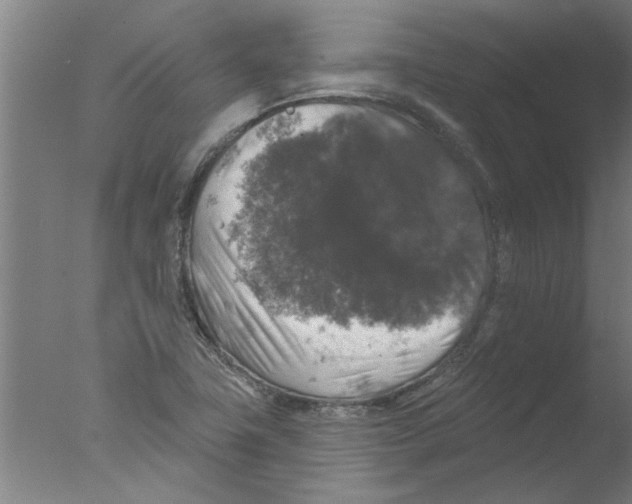 X0000076081411200610202028