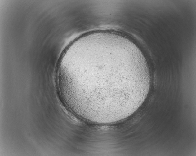 X0000076081412200610202028