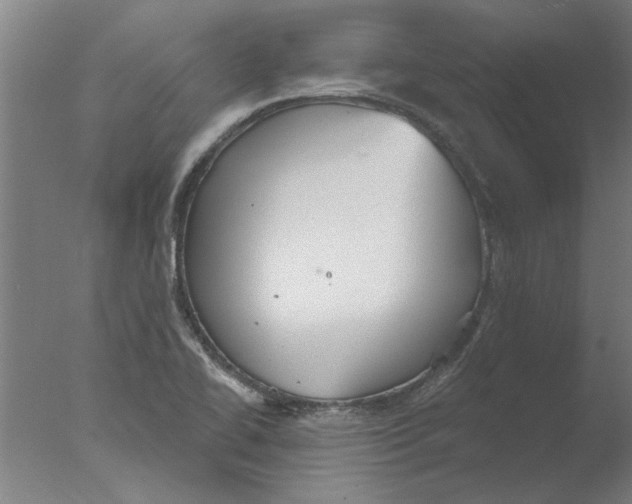 X0000076081414200610202028