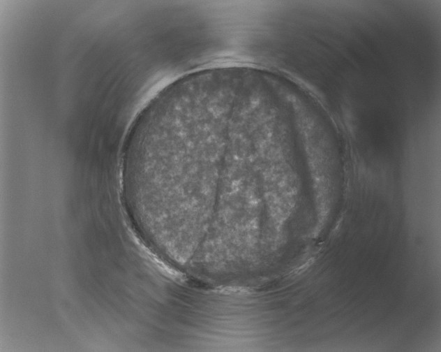 X0000076081415200610202028