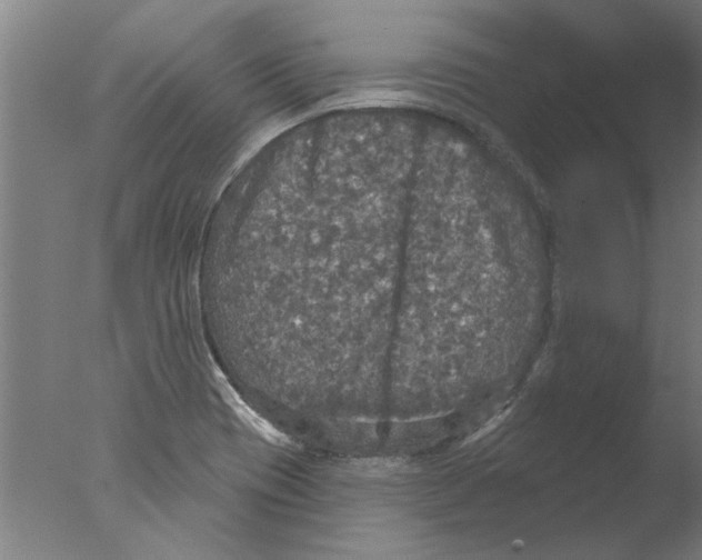 X0000076081417200610202028